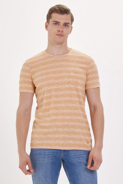 Orange Male T-Shirts