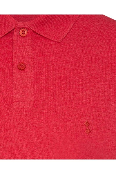 Red Male Polo Neck T-shirt