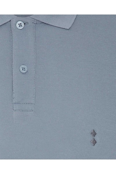 Grey Male Polo Neck T-shirt