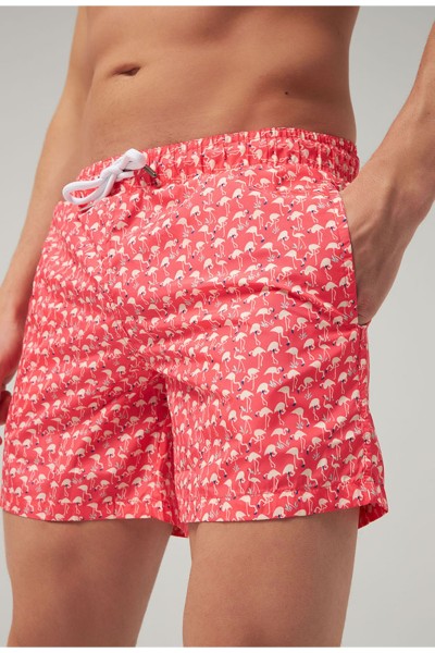 Pink Male Straight Shorts & Bermuda