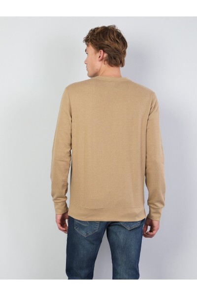 Brown Male Sweatshirt