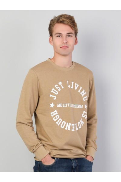 Brown Male Sweatshirt