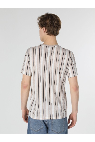 Beige Male Striped T-Shirts